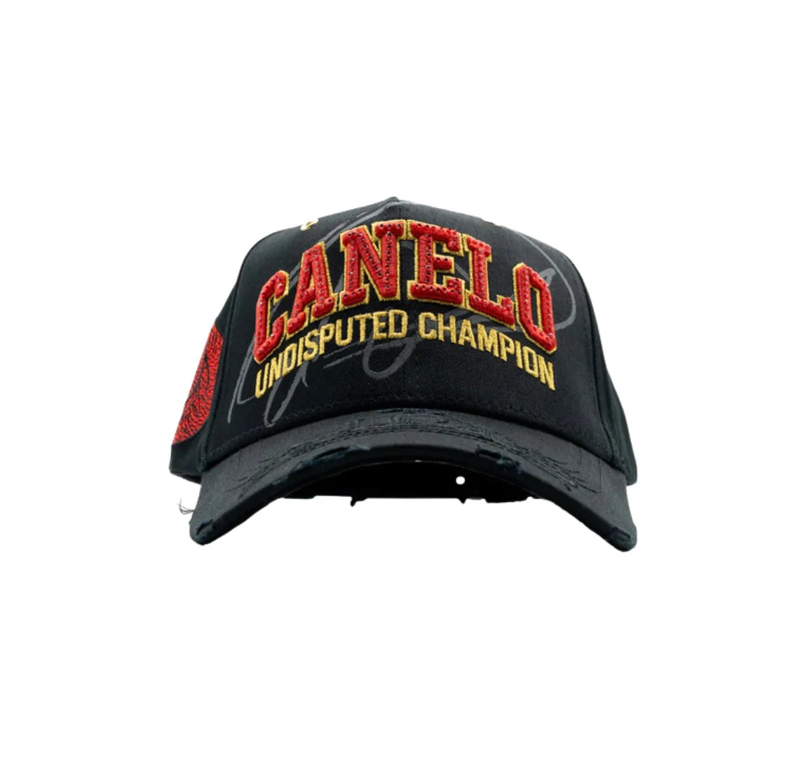 DANDY x CANELO INDISPUTED CHAMPION